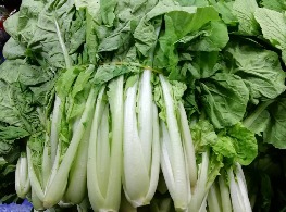 ผักกาดขาว หัวเล็ก