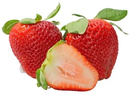 สตอเบอรี่อเมริกา