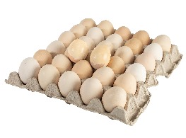 ไข่ข้าว