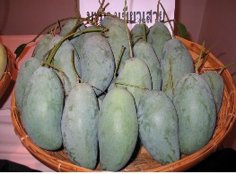 มะม่วงเขียวเสวย