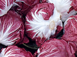 เรดิชิโอ