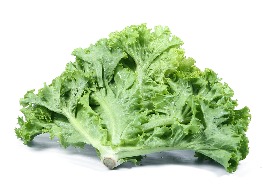 ผักกาดหอม