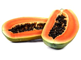 มะละกอฮอลแลนด์