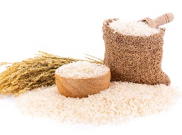 ข้าวเปลือกไก่ ตรา ต้นกล้า