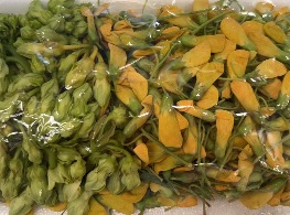 ดอกโสนกับดอกสลิด