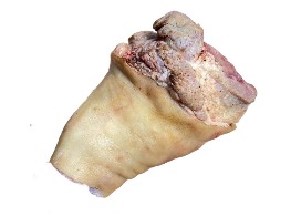 ขาหน้าท่อนบน (ขาเยอรมัน)