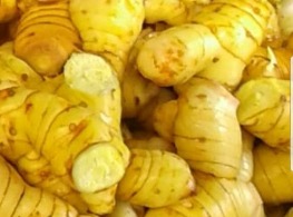 ข่าแก่ (เหลือง)