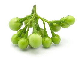มะเขือพวง (คัดพิเศษ)