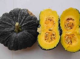 ฟักทองทองอำพัน