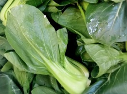 เบบี้ฮ่องเต้