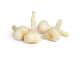 กระเทียมดอง