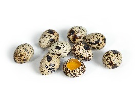 ไข่นกกระทา