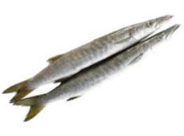 ปลาน้ำดอกไม้ สด