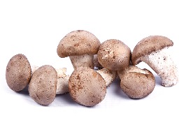 เห็ดหอมสด