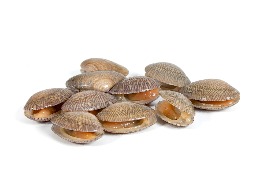 เนื้อหอยลาย