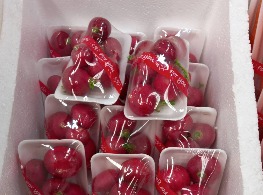 แรดิช แบบแพ็ค