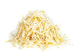 ถั่วงอก