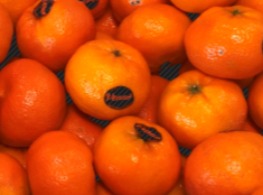 ส้มไร้เมล็ด ออสเตรเลีย