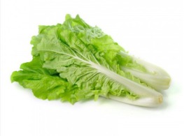 ผักกาดขาวบ้าน