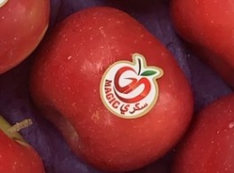 แอปเปิ้ลฟูจิ ตุรกี