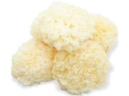 เห็ดขาว