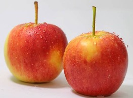 แอปเปิ้ลแคระ