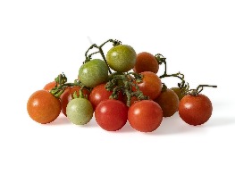 มะเขือช่อ