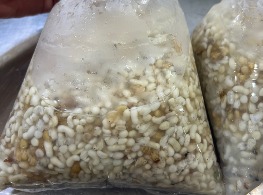 ไข่มดแดง