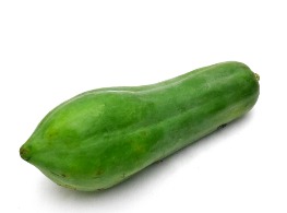 มะละกอกลม พันธุ์ชุมแพ