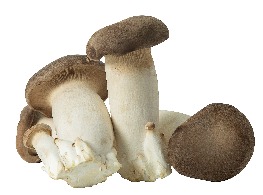 เห็ดออรินจิ