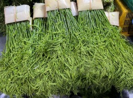 ชะอม (คัดพิเศษ)