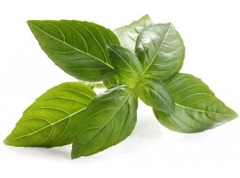 อิตาเลี่ยนเบซิล