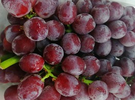 องุ่นไร้เมล็ดสีแดงกลิ่นแคนดี้