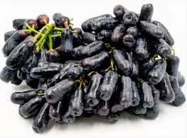 องุ่นแม่มด