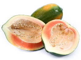 มะละกอเลดี้