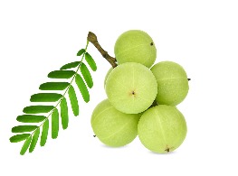 มะขามป้อม