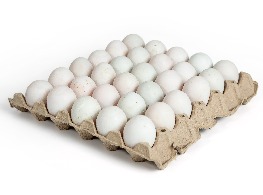 ไข่เป็ด