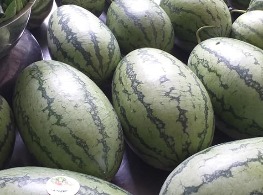 แตงโมซันซัน