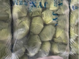 กะหล่ำปลีแบน