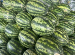 แตงโมคริมสันเรด