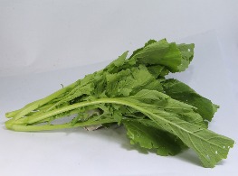 ผักกาดสร้อย กาดเขียวหอม