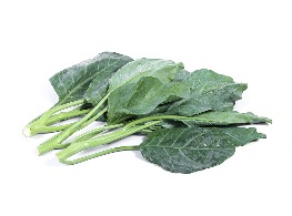 คะน้าต้น