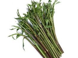 ผักบุ้งนา