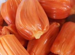 ขนุนแดงสุริยา