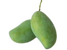 มะม่วงมันเดือนเก้า