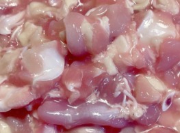 เอ็นข้อไก่