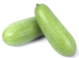 ฟักอ่อน