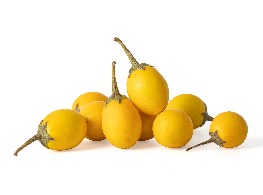 มะเขือเหลือง