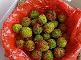 ลิ้นจี่สนมยิ้ม