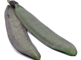 ฝักลิ้นฟ้า